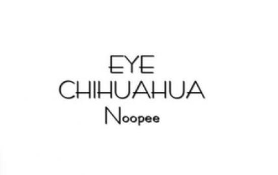 EYE CHIHUAHUA NOOPEE のメイン画像②