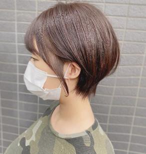 EYE CHIHUAHUA NOOPEE のフォト