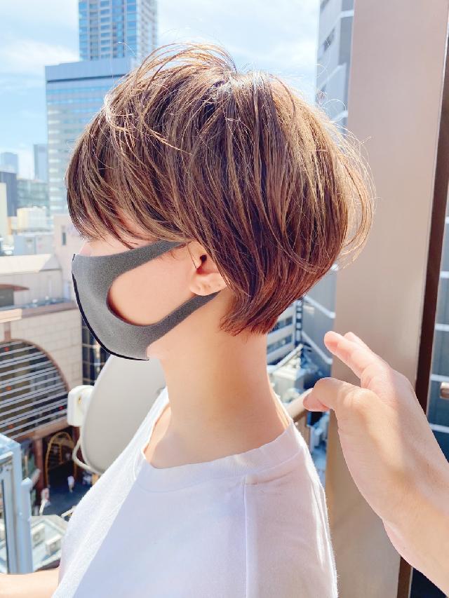 EYE CHIHUAHUA NOOPEE のフォト