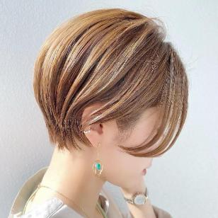 EYE CHIHUAHUA NOOPEE のフォト