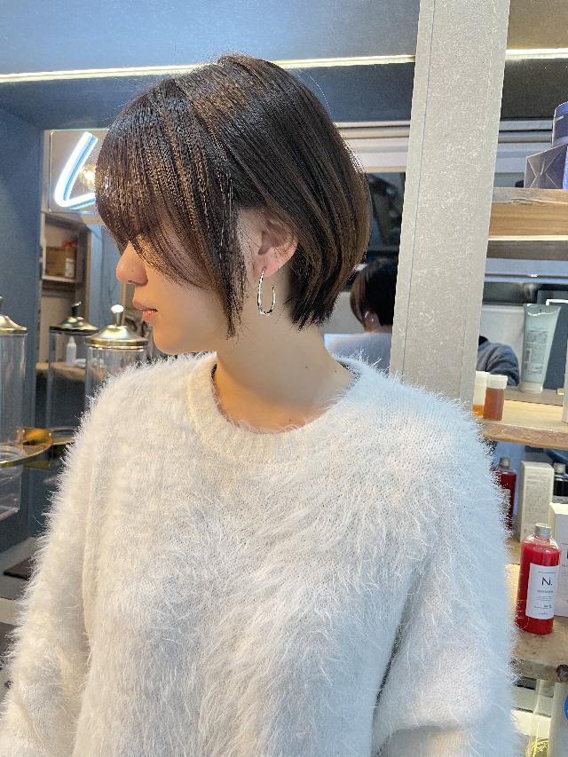 のスタイル画像