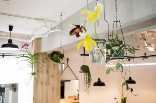 Lomaliaのメイン画像②