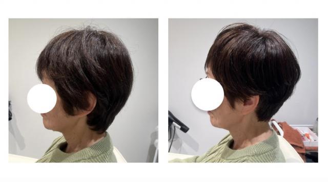 のスタイル画像