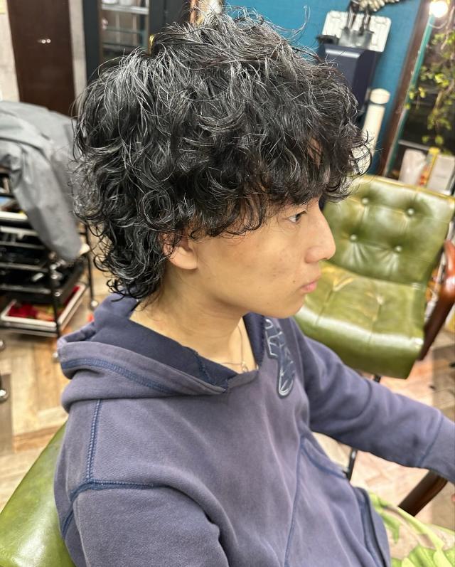 のスタイル画像