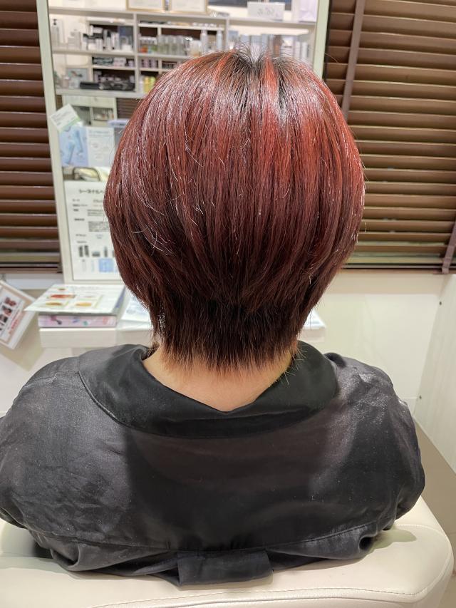 のヘアカタログ画像