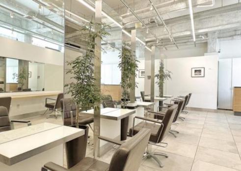 brisaのメイン画像②