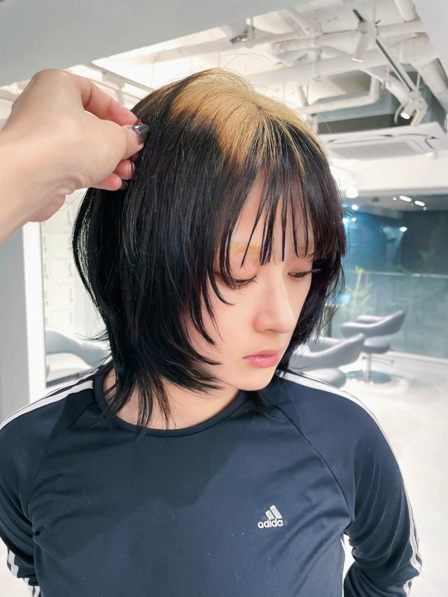 TOIのフォト