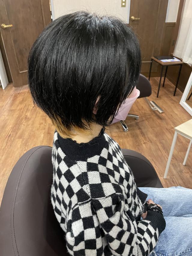 のスタイル画像