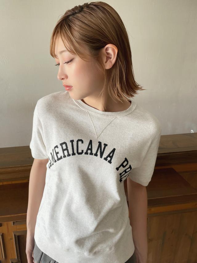 のスタイル画像