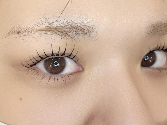 のスタイル画像