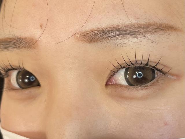 のスタイル画像