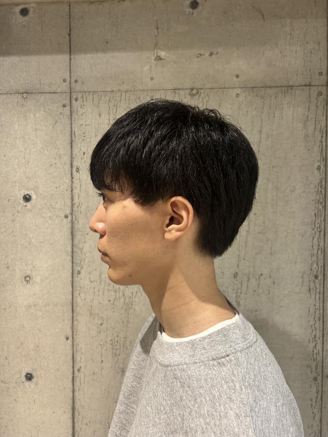 のスタイル画像