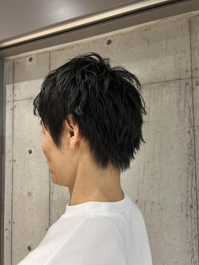 のスタイル画像