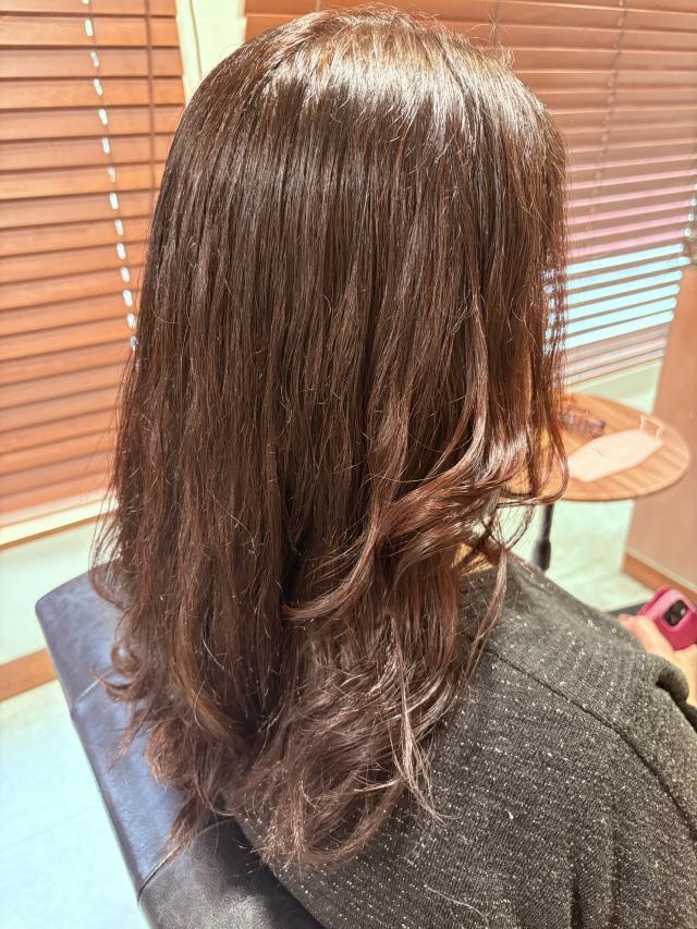 のスタイル画像