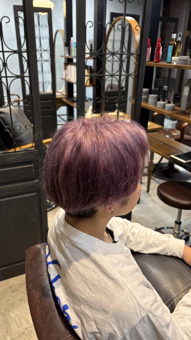 のスタイル画像