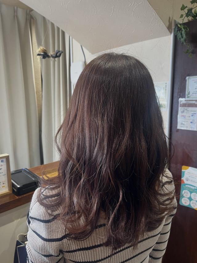 のスタイル画像
