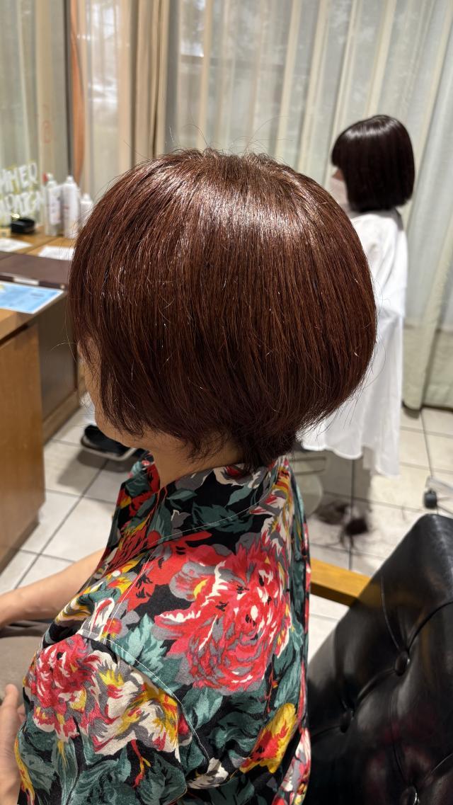 のスタイル画像
