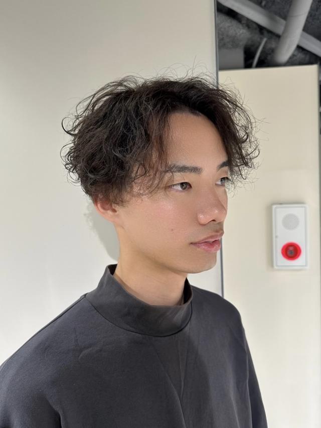 のスタイル画像