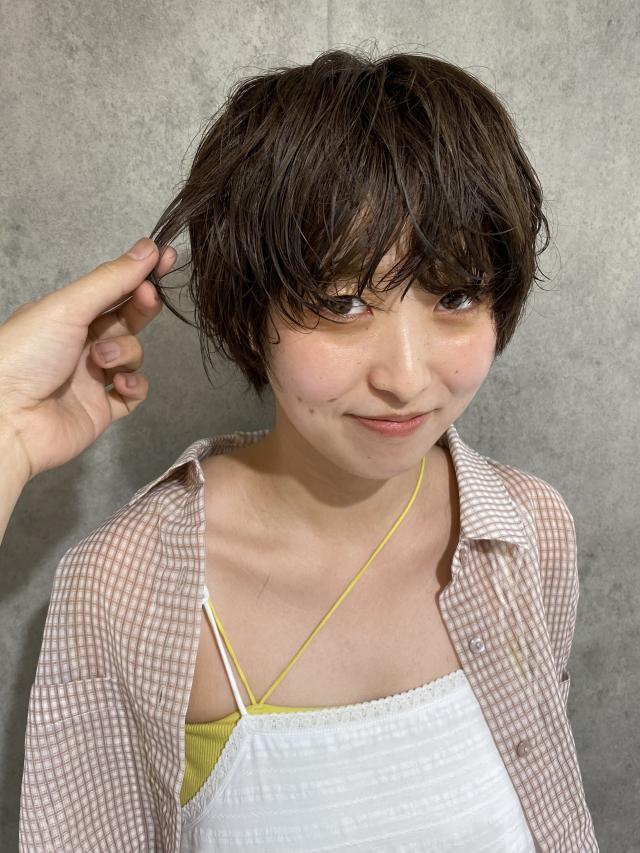 のスタイル画像