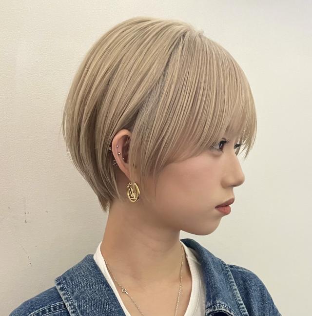 のスタイル画像