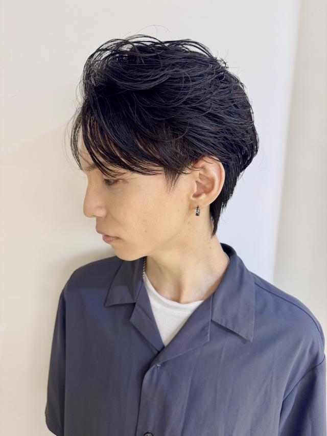 のスタイル画像
