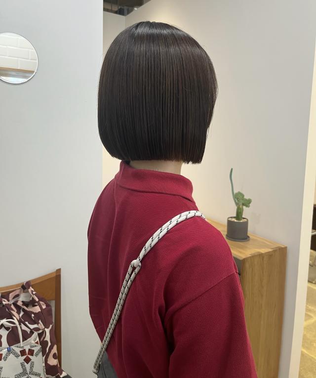 のスタイル画像