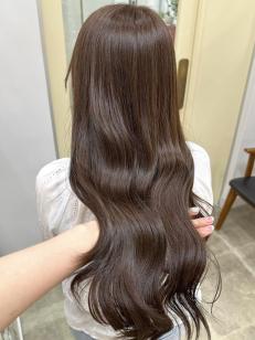 haifのフォト