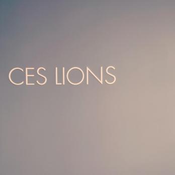 CES LIONS 祐天寺のメイン画像①