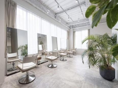 noiのメイン画像①