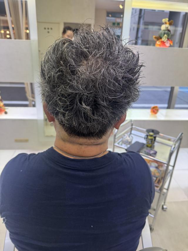 のスタイル画像