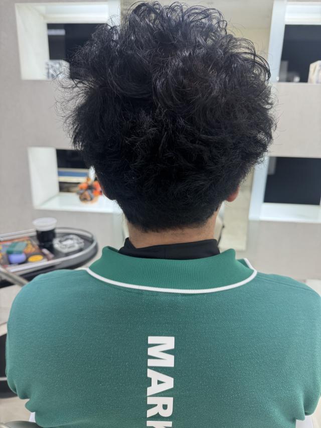 のスタイル画像