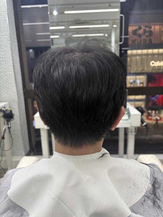 のスタイル画像