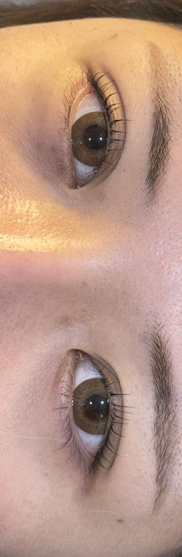 のスタイル画像