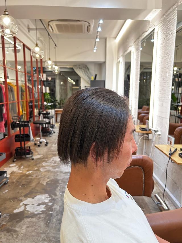 のスタイル画像