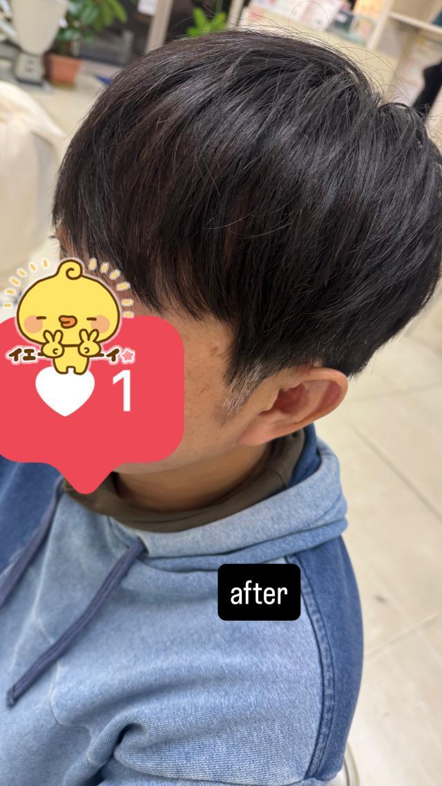 のスタイル画像