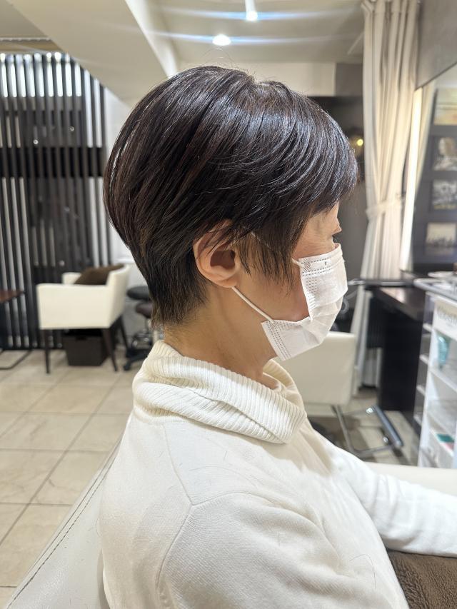 のスタイル画像