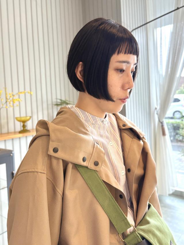 のスタイル画像