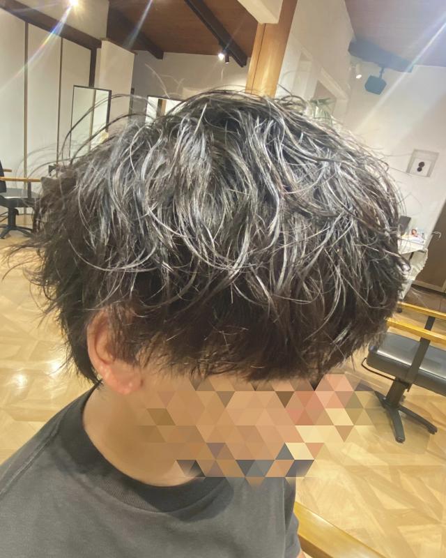 のスタイル画像