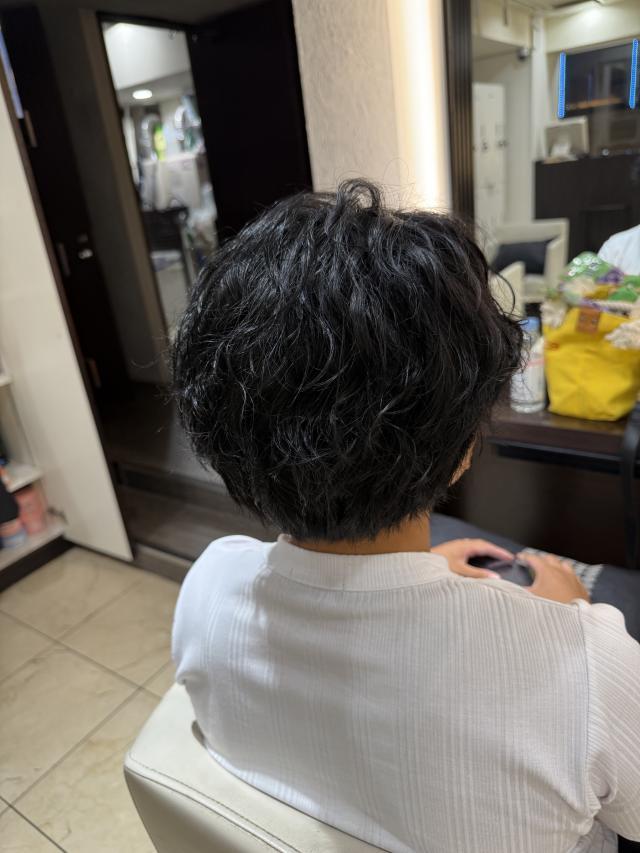 のスタイル画像