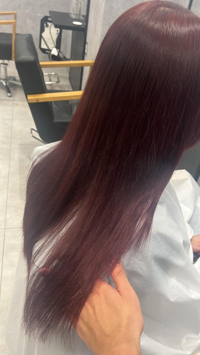 のスタイル画像