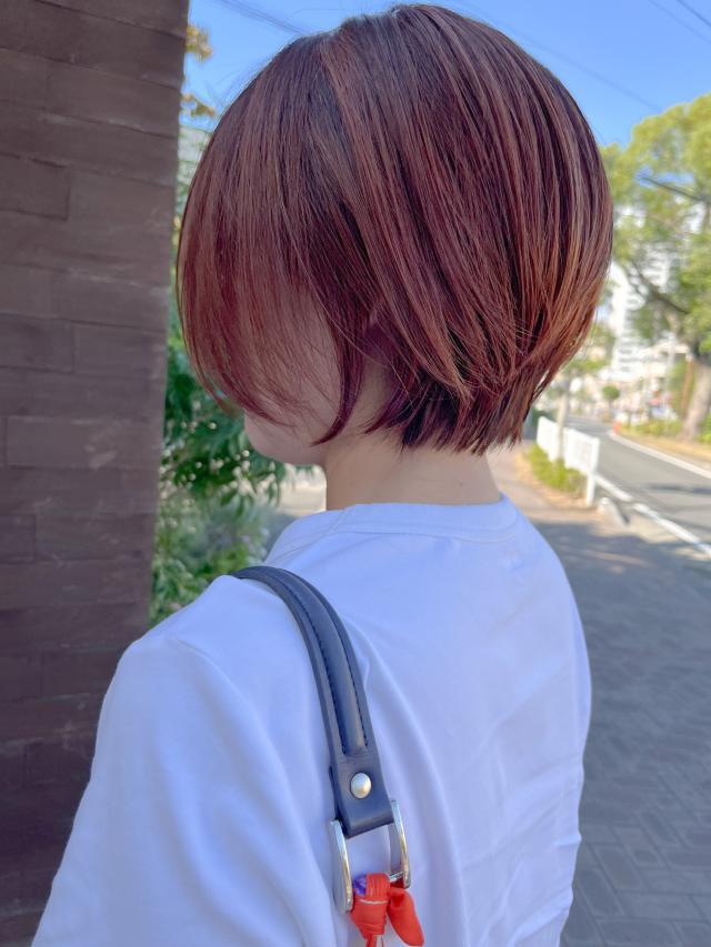 のスタイル画像