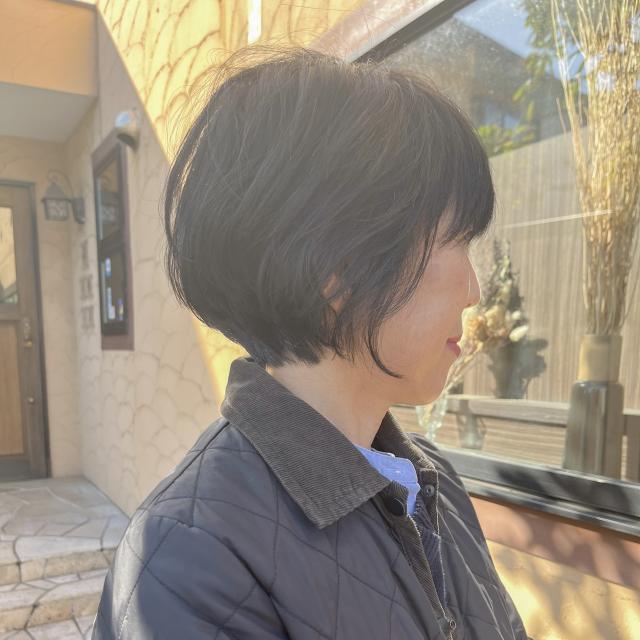 のスタイル画像