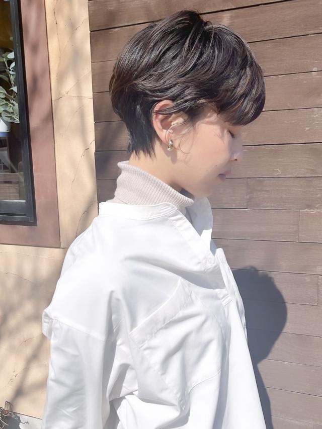 のスタイル画像