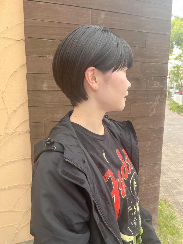 のスタイル画像