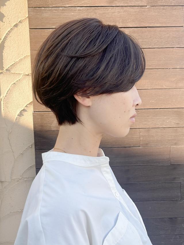 のスタイル画像