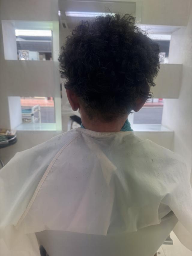 のスタイル画像