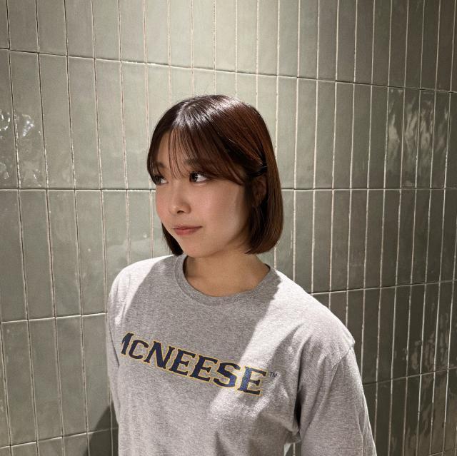 のスタイル画像