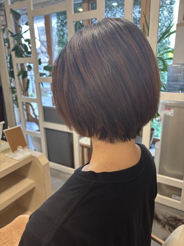 のヘアカタログ画像