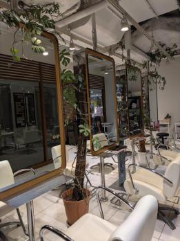 XXXY'S AVEDA 町田モディのメイン画像②