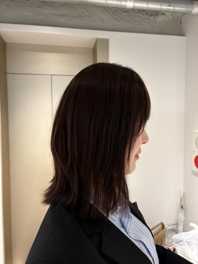 のスタイル画像